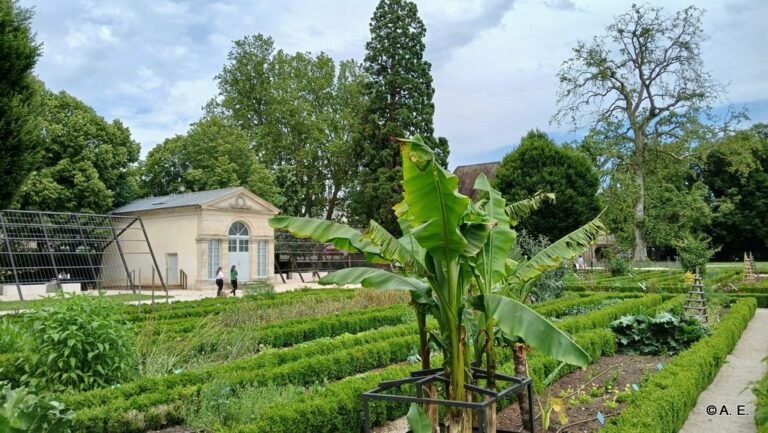 Le jardin de l'Arquebuse à Dijon. L'orangerie.