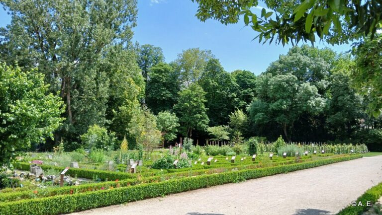 Le jardin de l'Arquebuse à Dijon.