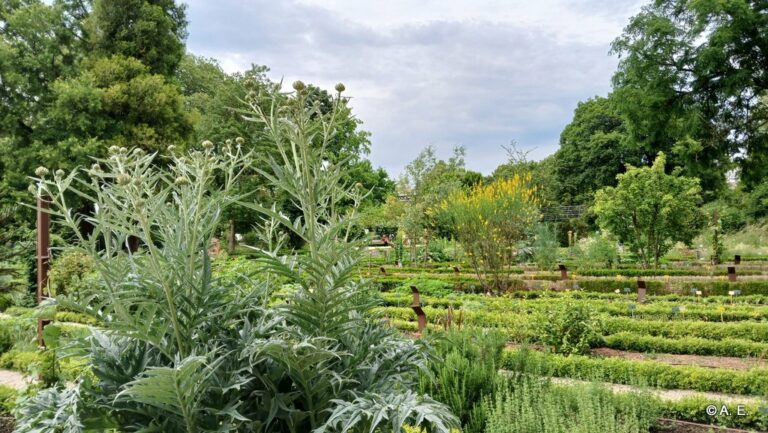 Le jardin de l'Arquebuse à Dijon.